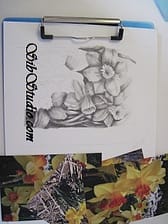 SibStudio dot com Daffodil Drawing