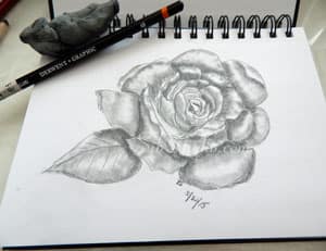 Rose drawing in my sketch book 